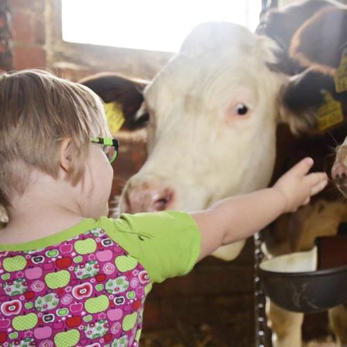 Día a día de las personas con síndrome de down